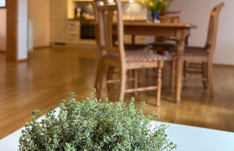 Ferienhof Hanssler - Photo 56