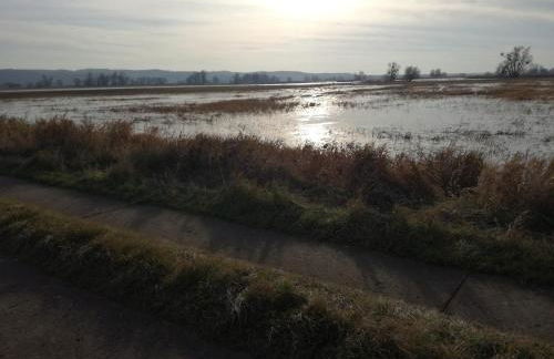 Gutshaus am Nationalpark Unteres Odertal - Foto 6