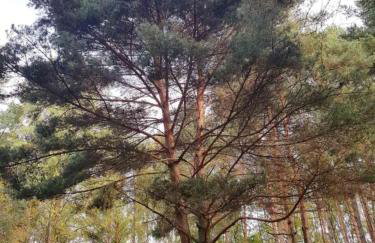 Lawendowa Malanówka - domek nad jeziorem - Foto 38