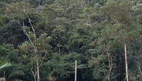 Chalé dos ipês - Foto 4