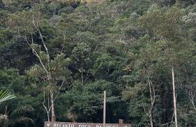 Chalé dos ipês - Foto 4