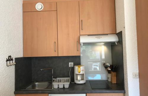 Studio cabine 25m² au pied des pistes à Corrençon - Balcon sud - FR-1-515-70 - Foto 4