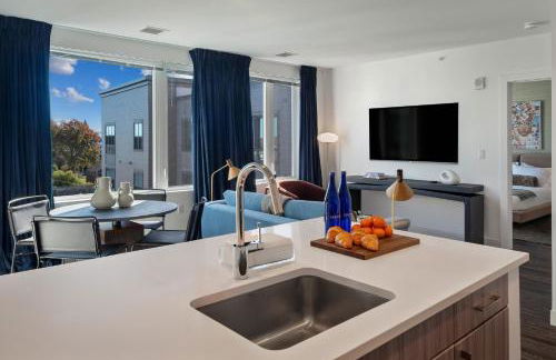 Hyatus Luxury Residences Boston South Bay Designer Collection - Photo 29