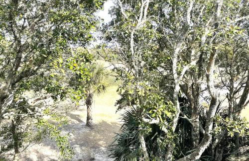 DOTS Landing - Foto 19