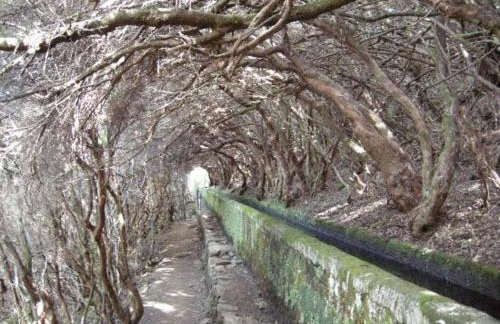 Casa Mao-Cheia - Foto 22