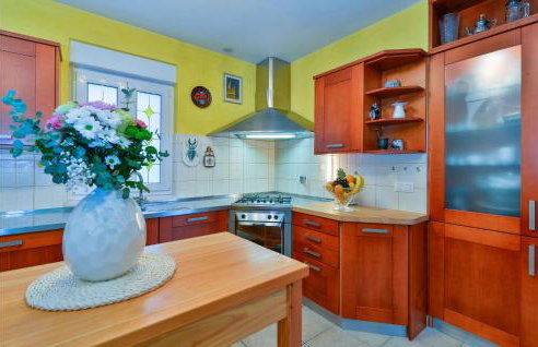 Nice Home In Varazdin Breg With Sauna - Foto 41