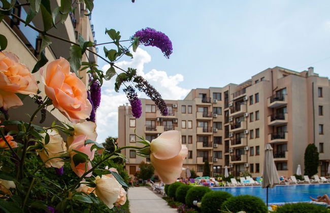 TSB Sunny Victory Apartments - Photo 74