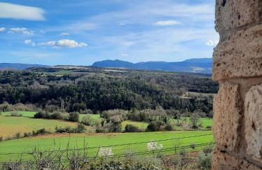 Corral de l'esquirol - Foto 51