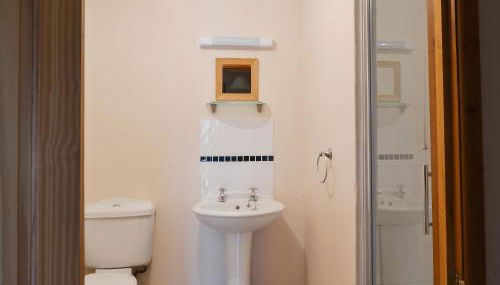 Oregano - E4483 - Foto 4