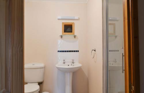 Oregano - E4483 - Foto 4