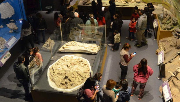 The Paleontological Museum Ticket - Foto 5