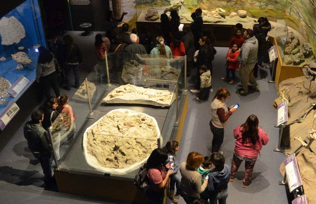 The Paleontological Museum Ticket - Foto 5