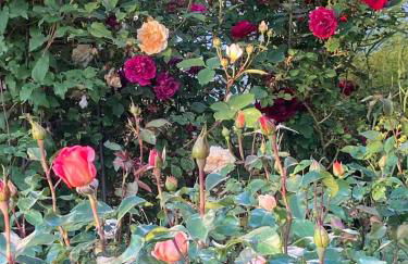 Ferienwohnung Schötz - Foto 42