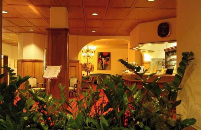 Central Apartments Davos - Foto 8