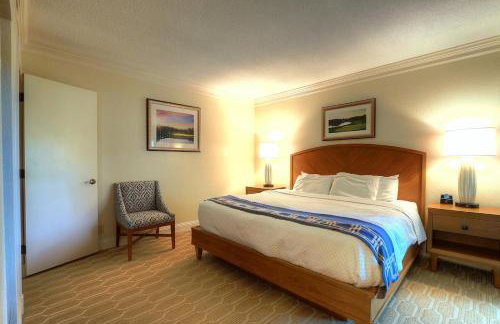 Luxury 1 Bedroom Condo in Palm Harbor Florida 2 Miles From Beach by David Rigney Real Estate Solutions - Foto 4