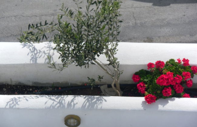 Summer Time - Foto 29