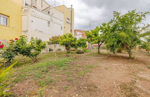 Hort de la Cinteta - Foto 14