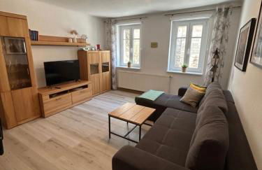 Sandstein-Ferien, FeWo "Biela", gemütlich, zentral, Terrasse, familienfreundlich - Foto 6