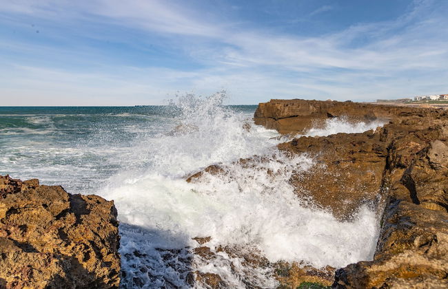 Résidence Prestigia - Photo 19