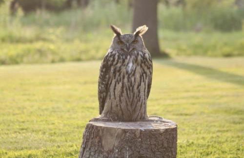 Gite La Folie - Foto 17