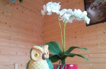 Domki pod Żukowcem - Foto 24