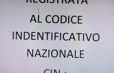 ALLOGGIO SALMONE nel CUORE DI SORIANO - Foto 18