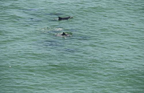 Just Updated - Beachfront Ocean view, 19th Floor - Foto 33