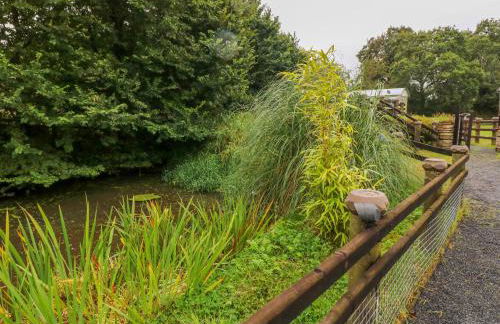 Shepherds Hut - The Crook - Foto 20