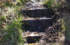 Ferienwohnung "Hirschlein" im Schwarzwald - Foto 36