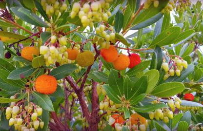 Agriturismo La Fonte - Foto 49