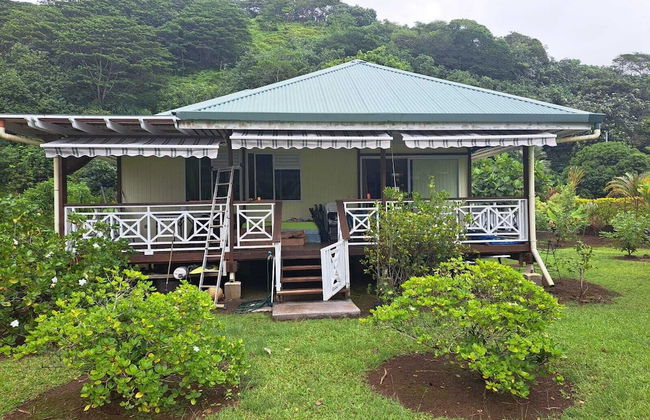 Fare Mama Rota - Photo 18