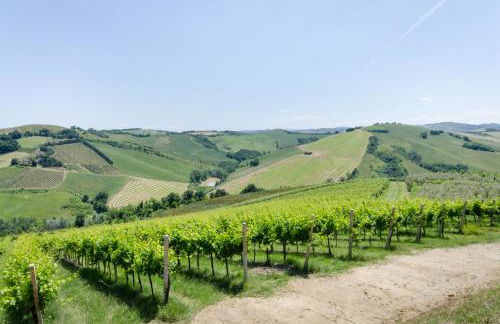 Agriturismo Ca' de' Gatti - Photo 74