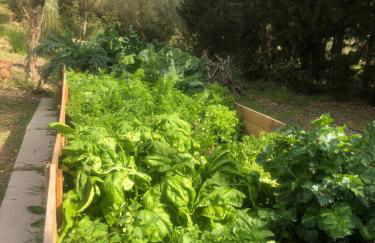 Villa Sestret By LeMón Holiday - Foto 35