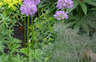 Haus Vineta - Foto 18