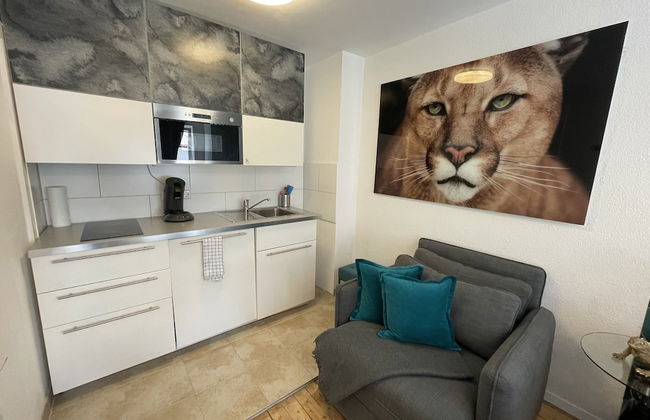 Deluxe Studio La Gatita Amable - Foto 6