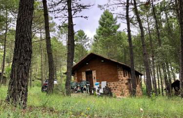 Casa Rural Campanilla - Foto 51