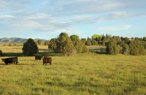 Sevier River Ranch & Cattle Company - Foto 5