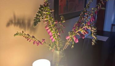 aerOPOrto Guesthouse - Foto 4