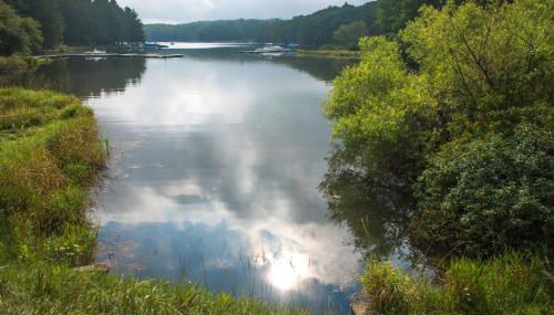 Pee Wee Acres - Foto 5