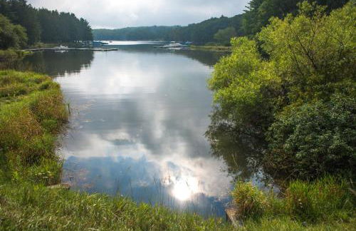 Pee Wee Acres - Foto 5