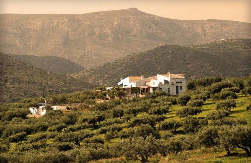 Olive Garden Houses - Photo 12