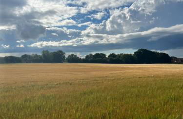 Dwell on the Moor - Foto 21