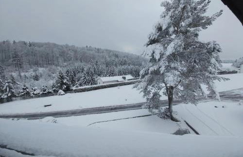 Ferienwohnung Eifelrose - Foto 32