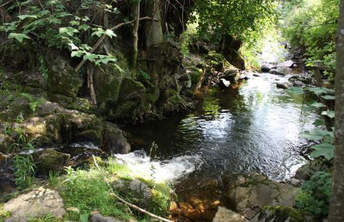 Gästehaus Roseneck - Foto 41