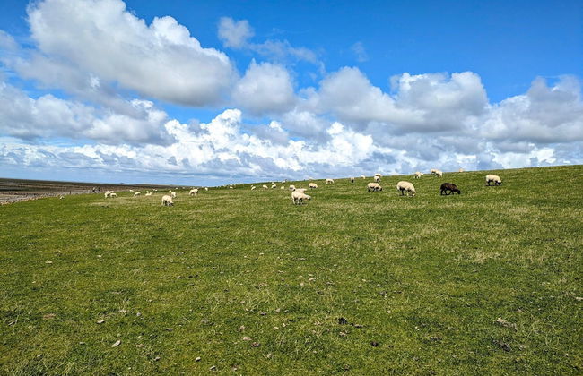 Penthouse am Nordstrand auf dem Deich - Foto 21