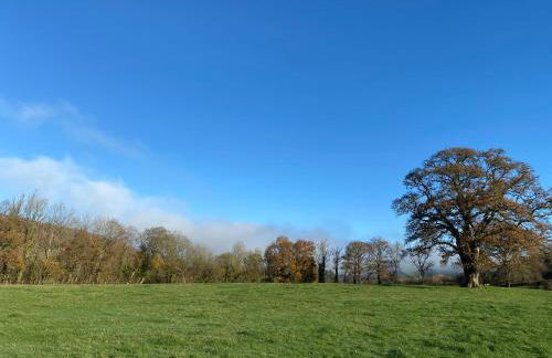 Oakies Farm Stays - Foto 34