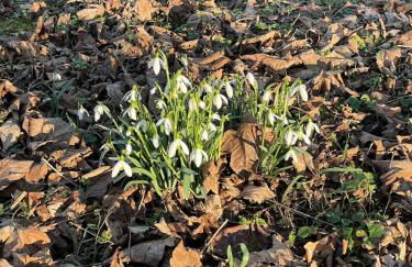 Kleines Landhaus von 1870 - Foto 11