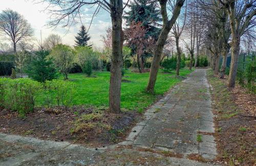 Willa Brancon - Foto 49