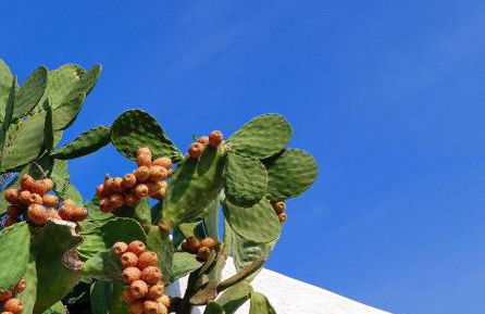 Casetta nel centro storico - Foto 28