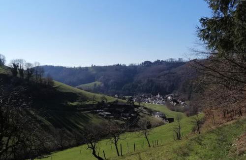 Ferienwohnung am Spielberg - Photo 15